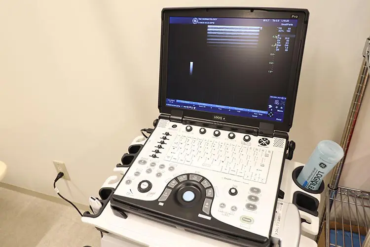Logic e Pro (GE社）